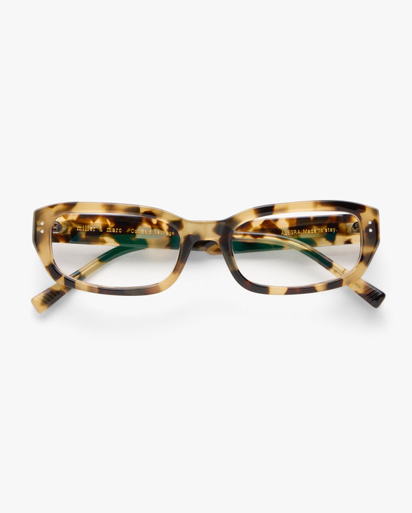 Alegra-graduadas-bold-sauvage_01