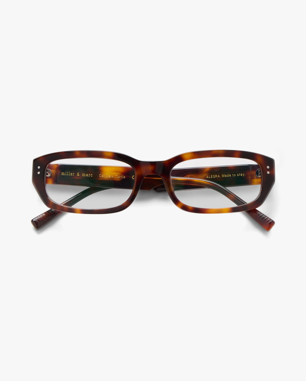 Alegra-gradudas-dark-turtle-01