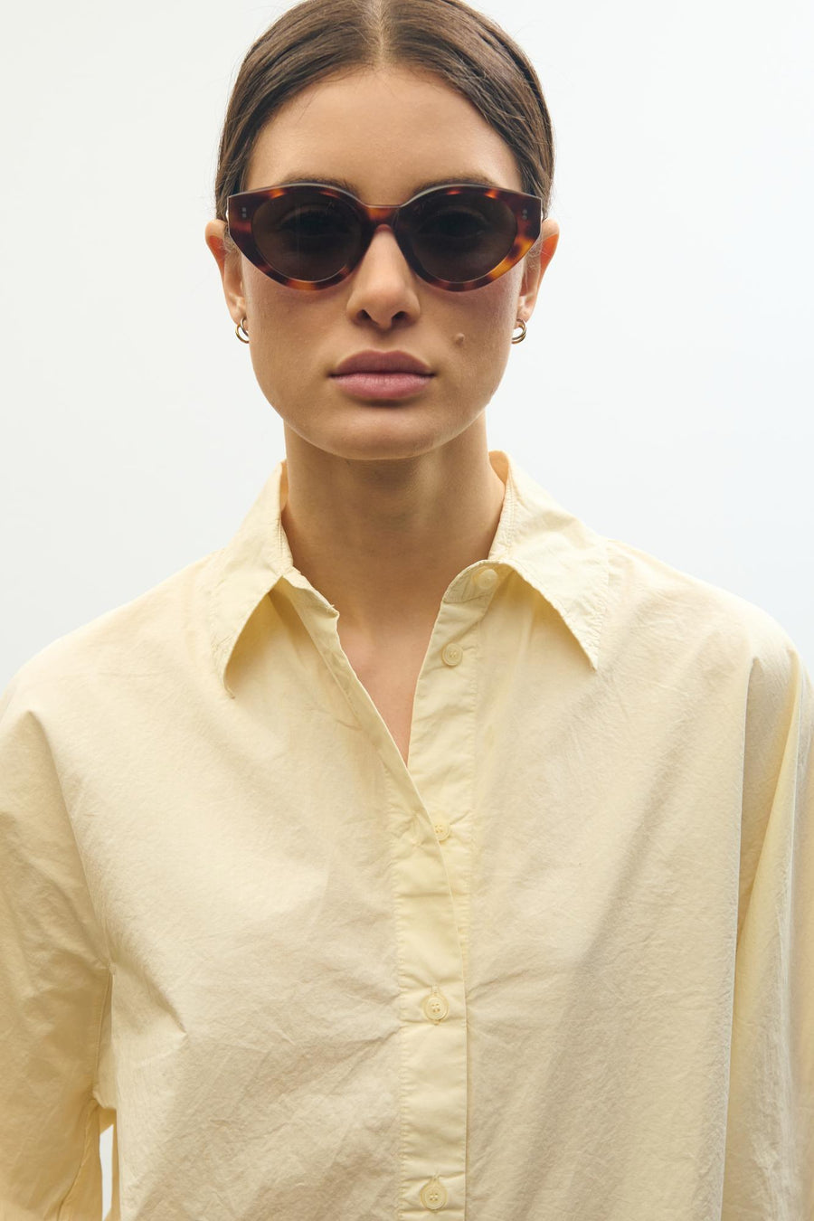 Ingrid-sol-dark-turtle-05_resultado