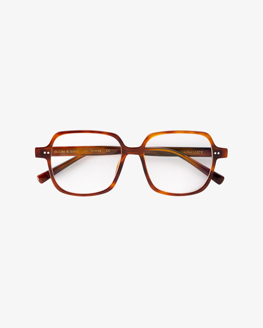 Lucy-graduadas-tortoise_01