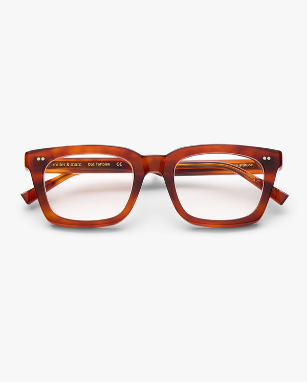 Morgan-large-graduadas-tortoise_01