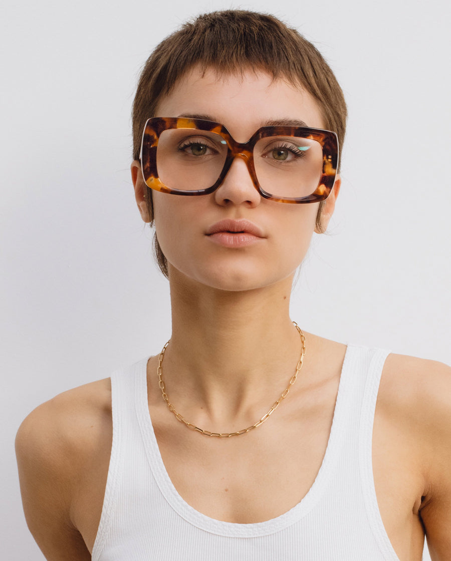 Siete-graduadas-acorn-havana-01