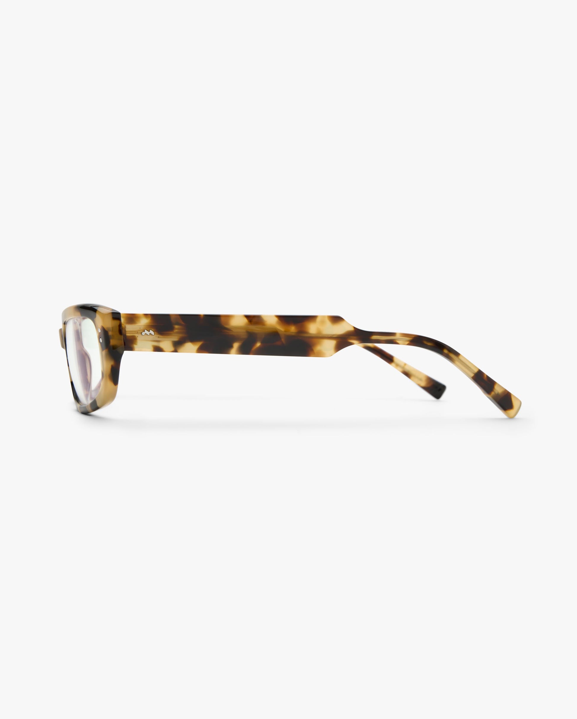 Alegra-graduadas-bold-sauvage_02