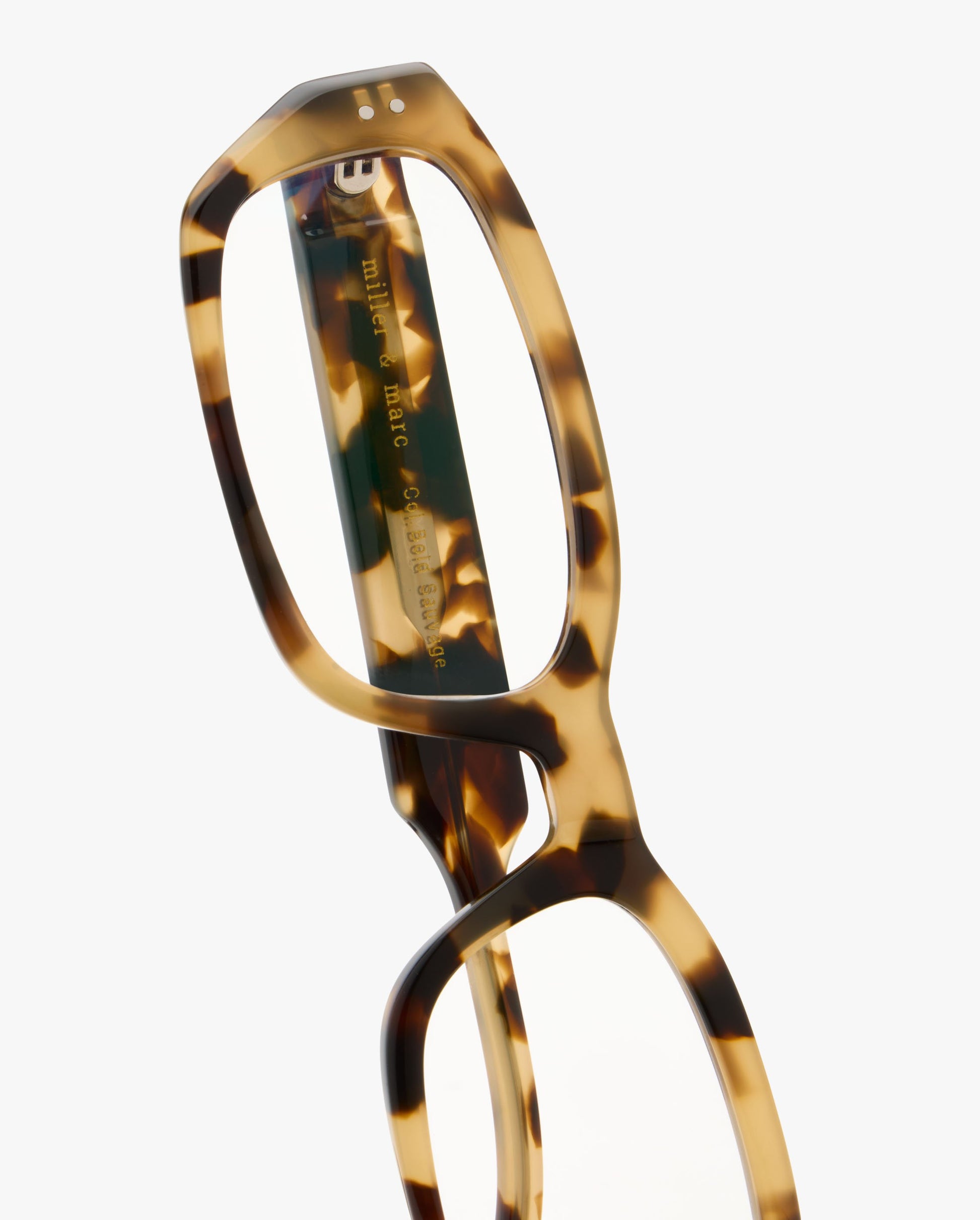 Alegra-graduadas-bold-sauvage_03