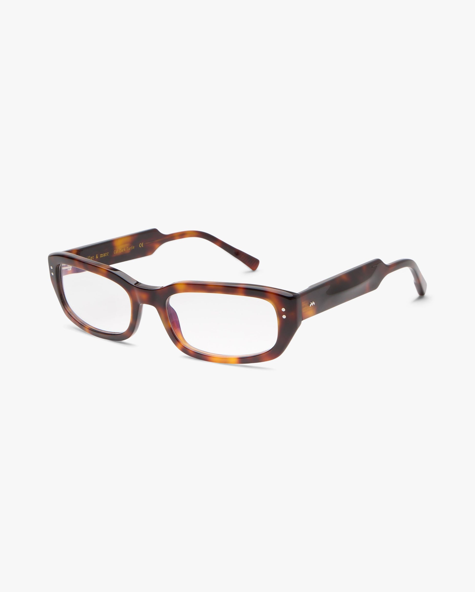 Alegra-gradudas-dark-turtle-03
