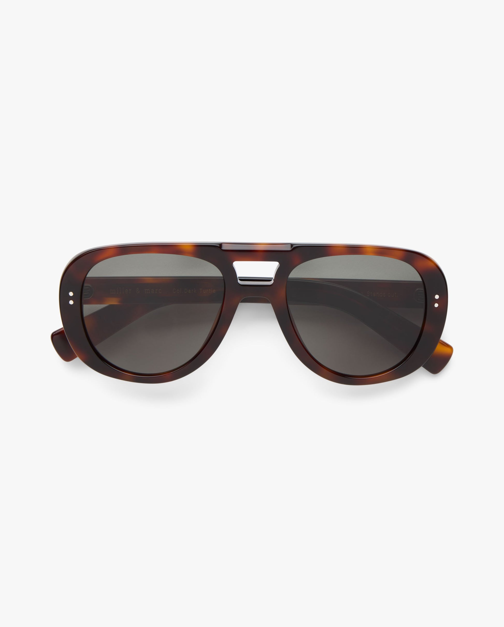 Cameron-sol-dark-turtle_01