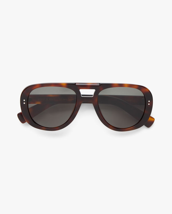 Cameron-sol-dark-turtle-01