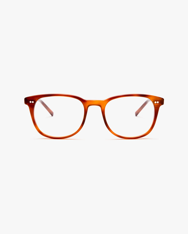Grant-graduadas-Tortoise-01