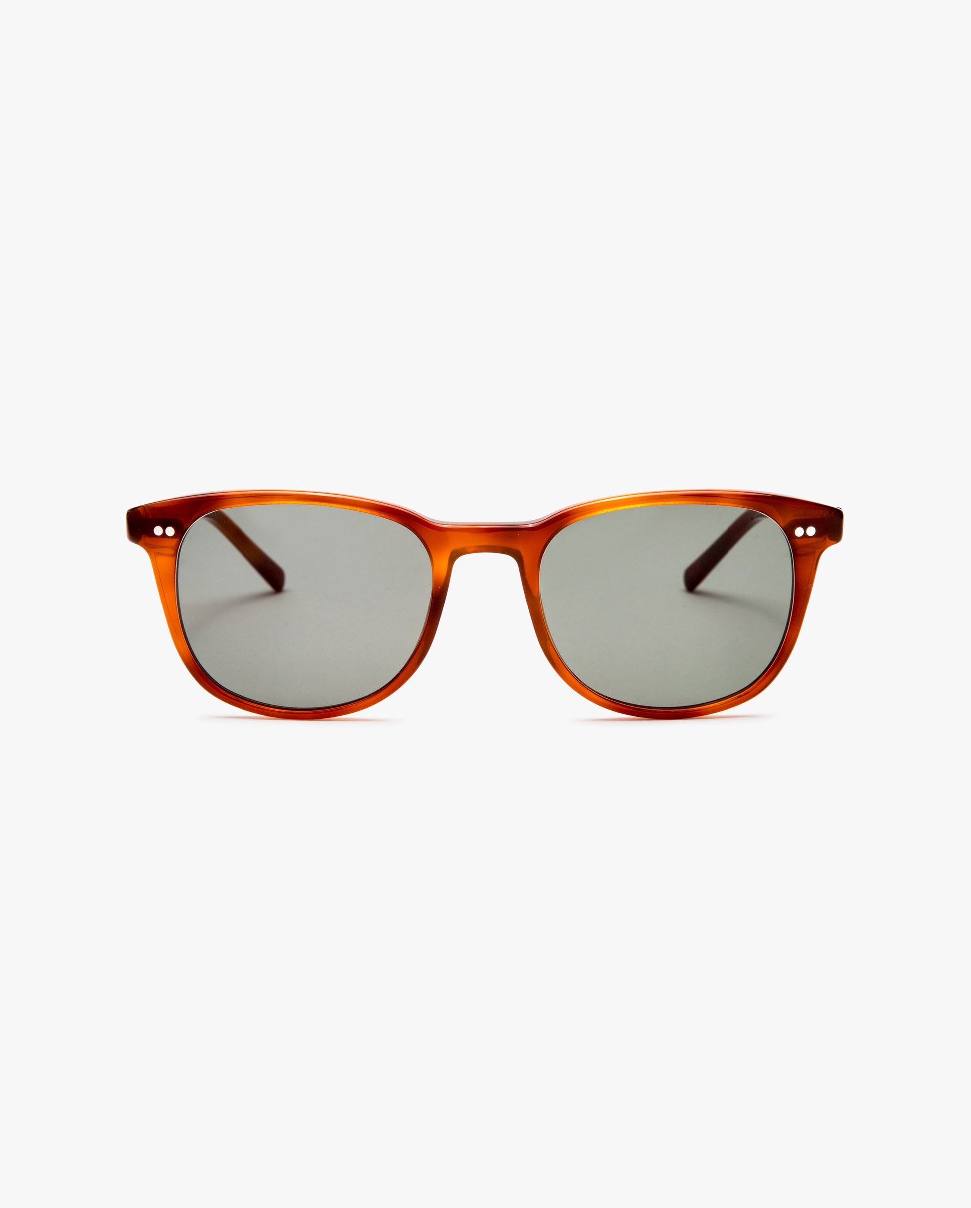 Grant-sol-Tortoise-01