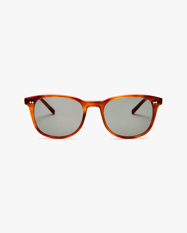 Grant-sol-Tortoise-01
