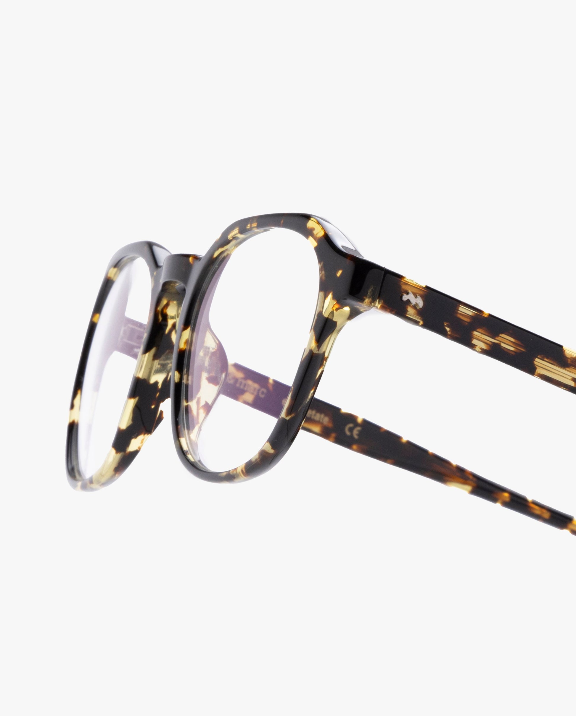 Luca-graduadas-spotted-tortoise-02