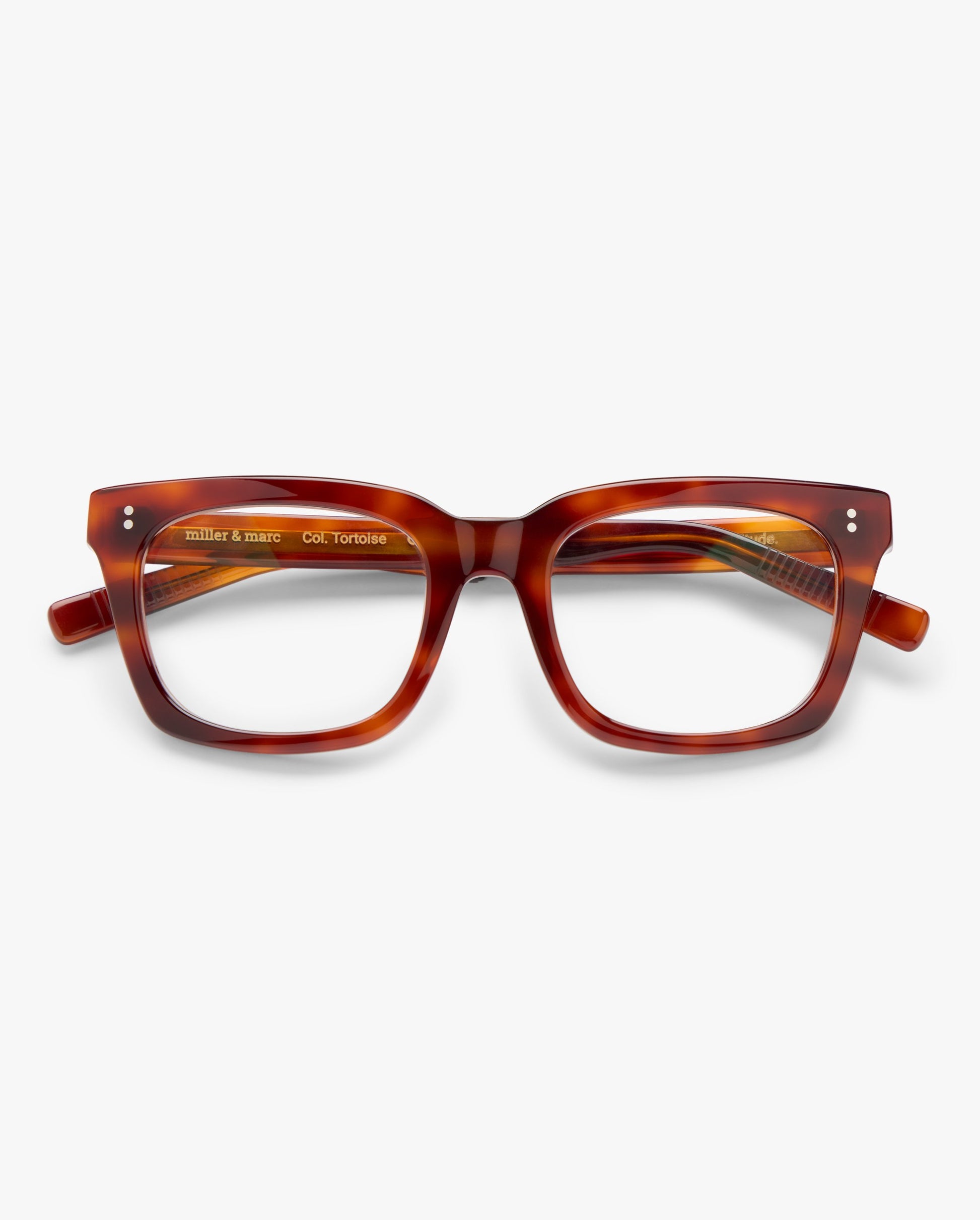 Morgan-graduadas-toirtoise-01