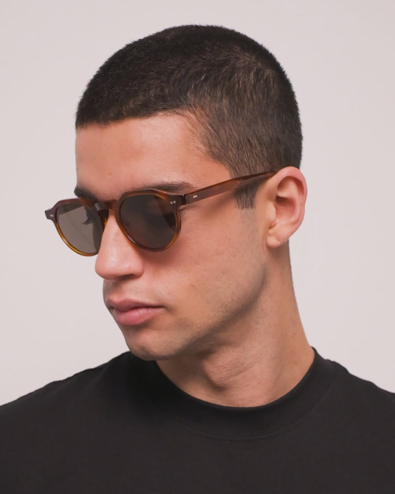 Marcel-sol-tortoise-06