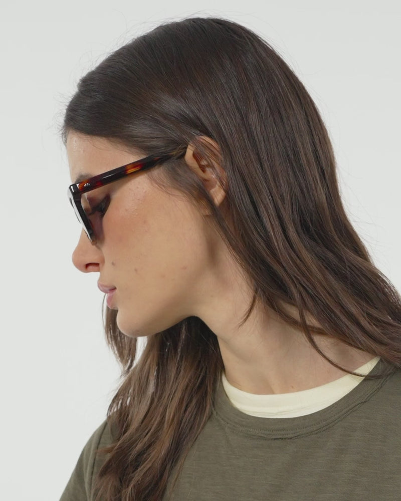 Parker-sol-dark-turtle-09(1)